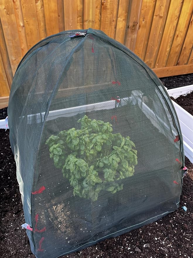 NuVue Products 25203 Pop-Up Garden Netting Animal and Bug Guard Covers with Ground Spikes, Mesh Plant Cover Tents for Pest and Animal Control, 52" x 52" x 54"