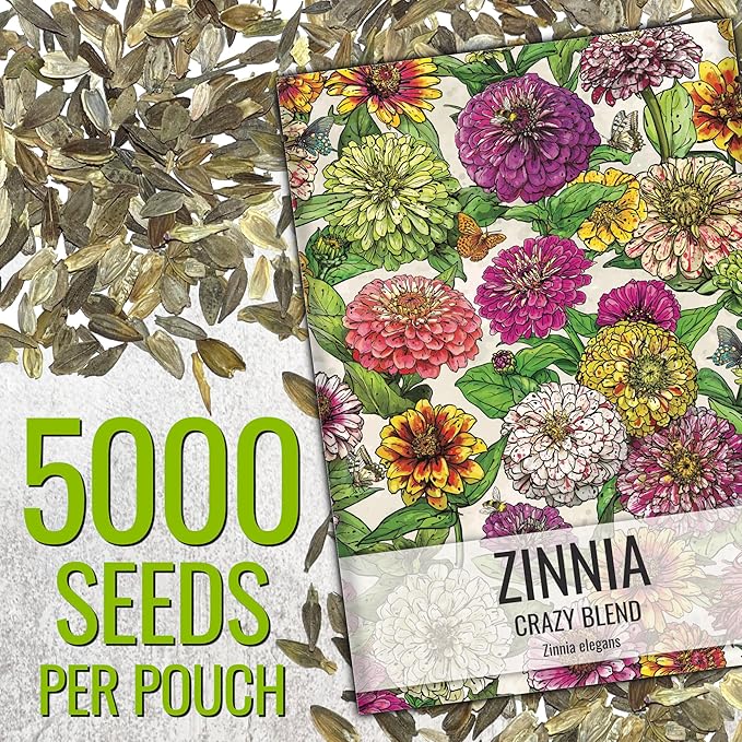 Seed Needs Zinnia Seeds Original Crazy Blend 5,000 Seeds Heirloom Bulk Pack
