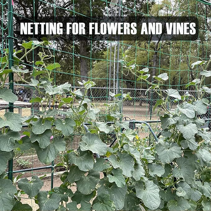 Trellis Netting, Heavy-Duty Garden Grow Netting for Climbing Plants, Outdoor Indoor Net for Cucumber, Tomatoes, Beans, Clematis, Fruits & Vegetables, Climbing Vining Plants (8.2' x 6.6'Ft)
