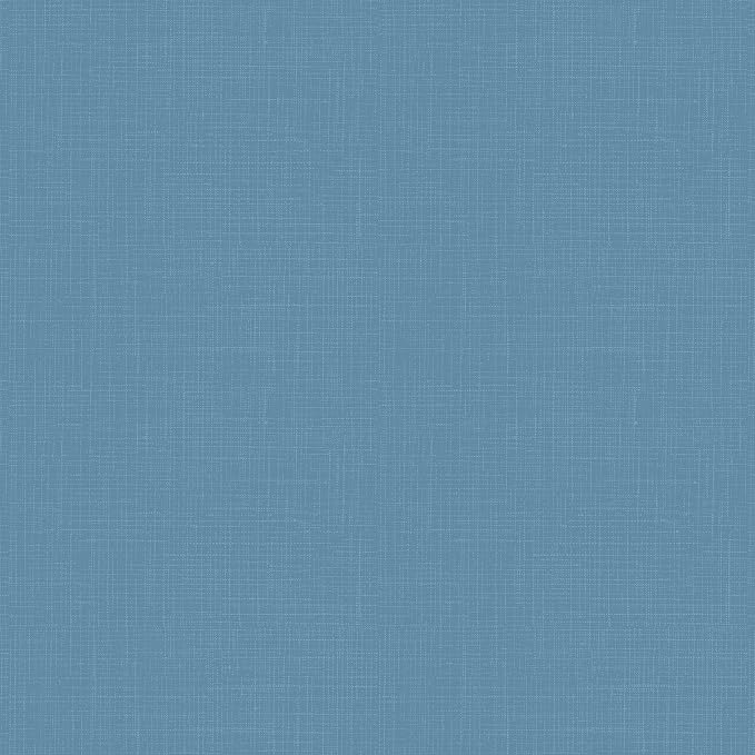 Arden 4-Pack Outdoor Patio Dining Chair Cushion, 20 x 44, Rain-Proof Seat Pad, Fade-Resistant Outdoor Cushion French Blue Texture