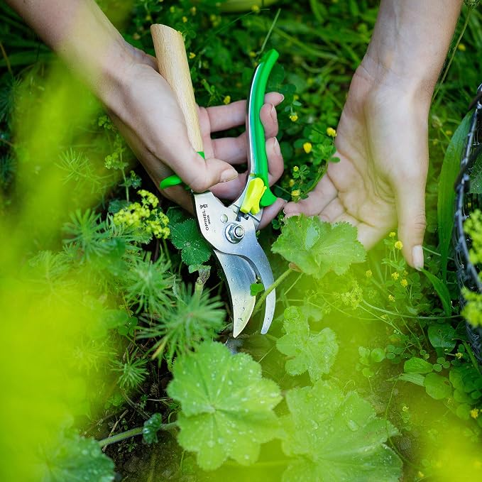 Opinel Hand Pruning Shears with non-slip beech wood handle perfect for bypass trimmers, garden, hedge, lawn clippers or hand scissors with stainless steel blade (Blue)