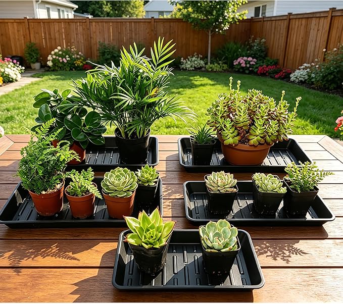 6 Pack Plastic Plant Trays Rectangular 14 Inch, Indoor Outdoor Plant Saucers with Drip Protection, Windowsill Planter Tray, 7 x 14.5 Inches, Black