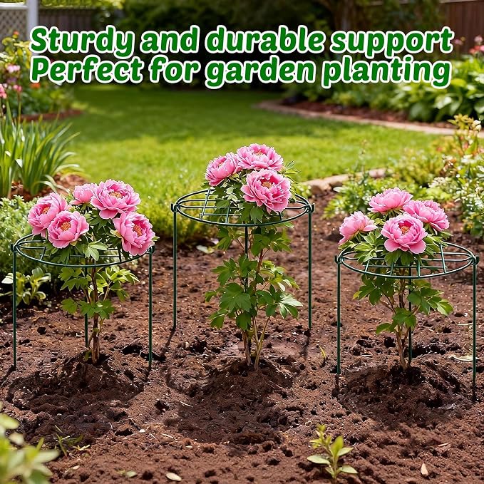 TTQ 8 Pack 12 x 15.7 inch Peony Cages and Supports,Metal Grow Through Plant Supports for Outdoor Plants,Flowers Support Rings Top-Heavy Plant Brace Support Hoop for Vegetables,Rose,Tomato,Orchids