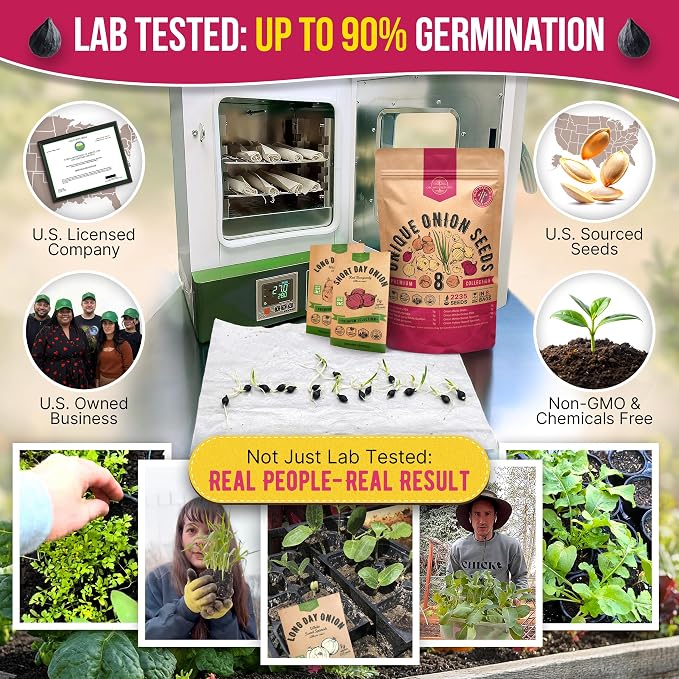 Organo Republic 8 Onion Seeds Variety Pack Heirloom, Non-GMO, Sets for Indoors, Outdoors Gardening. 2200+ Seeds: Walla Walla, Green Onion, Red Burgundy, White & Yellow Sweet Spanish Onions
