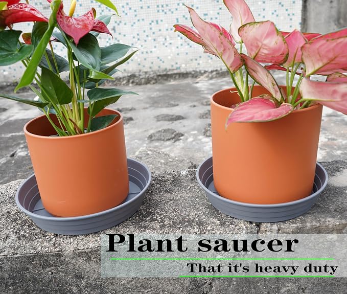Plant Saucer 8 Inch 4 Pack 6 8 10 12 14 16 18 20 25, Plastic Plant Trays for Pots，Extra-Deep Plant Water Dray Tray, Bird Bath Bowl, Heavy Flower Plant saucers Indoors and Outdoor No Holes 8in-4 grey