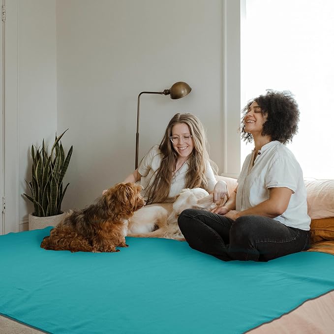 Fleece Throw Blanket Bulk Fleece Blankets Solid Lightweight Warm Soft Cozy Pet-Friendly for Home Bed Sofa Couch Dorm Office Wedding Gifts Travel Airplane Seasons (Petrol Blue, Pack of 6-50x60 Inches)