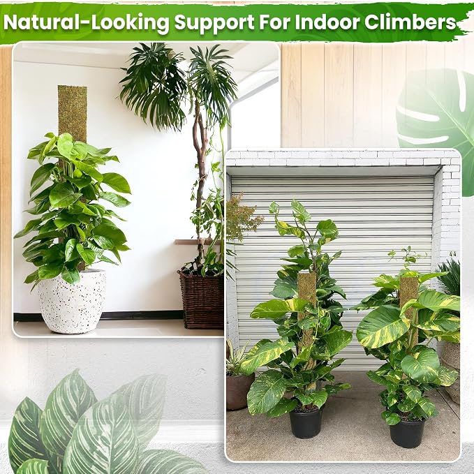 59" Flat Mesh Moss Pole for Big Climbing Plants, (1pc., 59'') | Wide Flat Real Moss Surface, Monstera Moss Pole for Indoor Plants, Plant Stakes for Mature Indoor Plants
