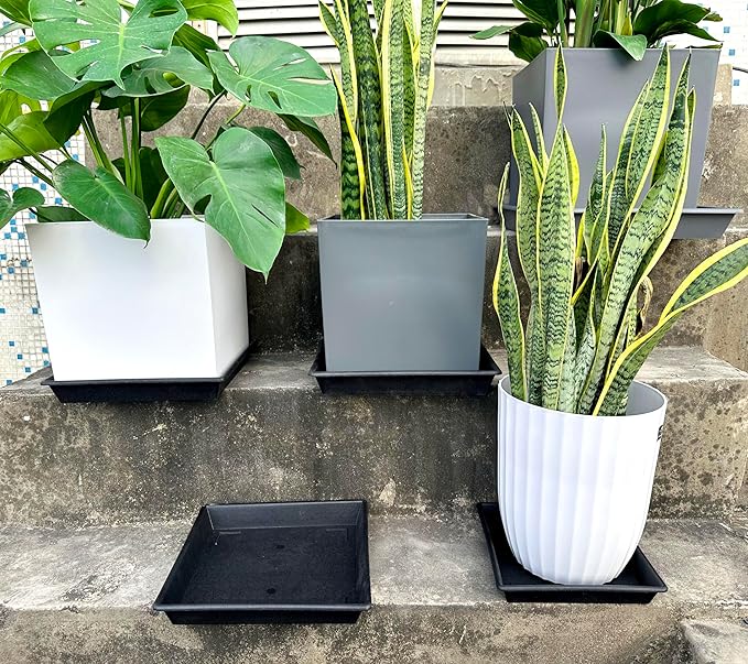 NIMYAU Square Plant Saucer 6 Inch 5 Pack6 8 12 14 16 18 20 Heavy Duty Plastic Plant Saucers for Indoors Outdoors, Plant Trays for Pots, Flower Pot No Holes Plant Drip Trays