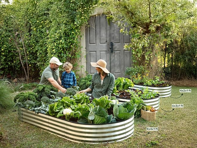 Plant & Plot Galvanized Raised Garden Beds Outdoor // 6×3×1 ft (2-Pack) Planter Raised Beds for Gardening, Vegetables, Flowers // Large Metal Garden Box // Patented Tool-Free Design (Silver)