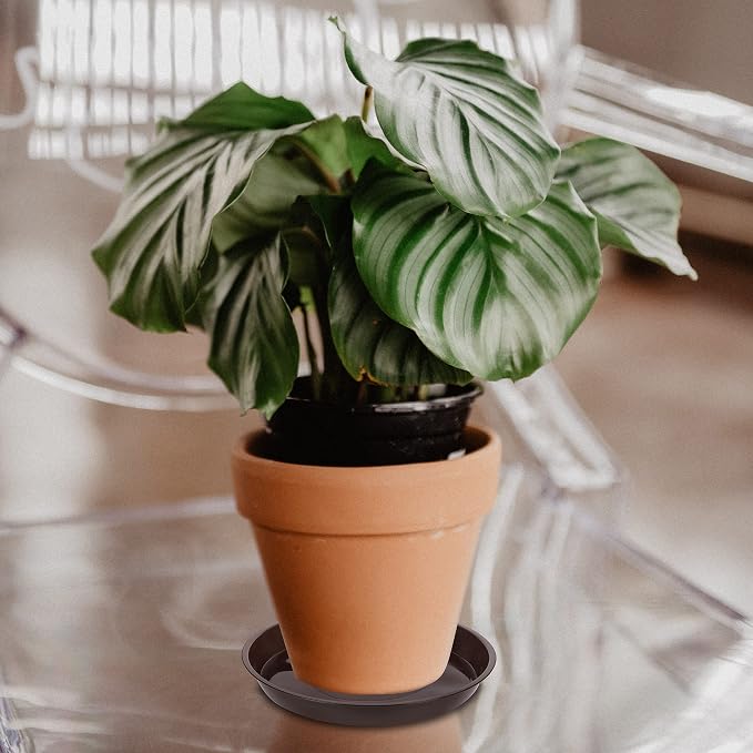 VUWEZ 6 Pack of Plant Saucer 10 Inch, 10 inch Plant Saucer Round, Plastic Flower Plant Trays for Pots, Plant Saucers for Indoors 9", Plant Pot Saucers, Planter Tray for Planter 8-10" (10", Brown)