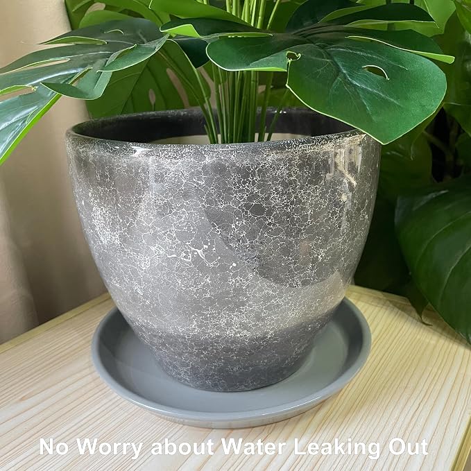 Plant Saucer 10 Inch - Ceramic Plant Tray for Pots, Plant Saucer for Indoors, Plant Water Catcher Tray for Outdoors, Large Flower Pot Saucer, Round Plant Dishes for Drainage, Gray
