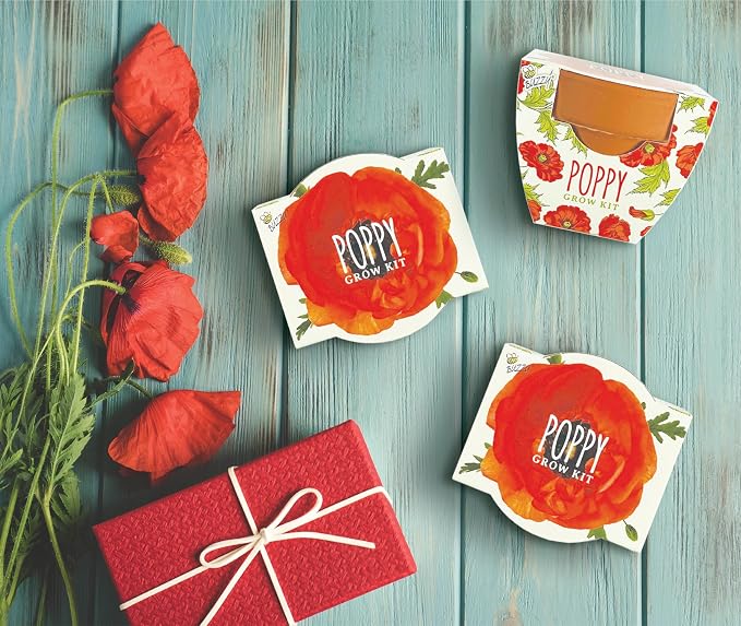BUZZY Seeds Poppy Grow Kit 12-Pack - Mini Terracotta Pot Grow Set - Complete Indoor/Outdoor Gardening Kit with Seeds, Coconut Husk Growing Medium & Genuine Pots - 100% Grow Guarantee