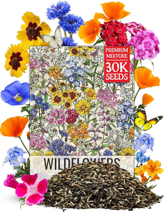 Seed Needs Wildflower Seeds Low Growing 2 Ounce Heirloom Bulk Pack