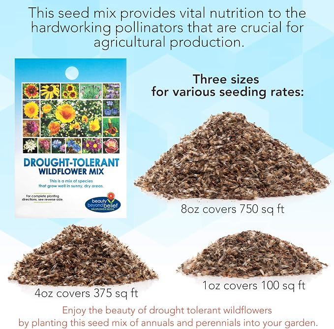 Drought Tolerant Wildflower Seeds - 4oz Packet, Open-Pollinated Bulk Flower Seed Mix for Beautiful Perennial, Annual Garden Flowers - No Fillers - 1/4 Pound