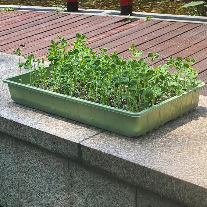 Mr. Pen- Seed Starter Trays, 10 Pack, 17"x10"x2.4" | Durable Plastic Growing Trays, Stackable and Reusable Seedling Starter Kits for Indoor, Outdoor, Greenhouse Gardening