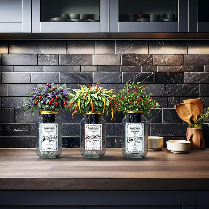Rare Pepper Mason Jar Garden Kit (3 Pack) – Medusa, Filius Blue & Chiltepin Peppers – Indoor Hydroponic Pepper Grow Kit – Unique Ornamental & Edible Pepper Plants for Windowsill Gardening