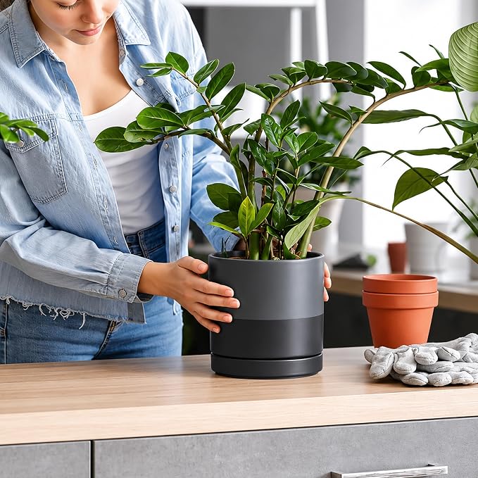 D'vine Dev 6 Inch Ceramic Planter Pot with Drainage Hole and Saucer, Indoor Cylinder Round Planter Pot, Slate, 94-O-C-5