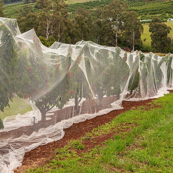 Hoolerry 20 x 25 ft Mosquito Netting Garden Netting for Raised Beds Ultra Fine Insect Net Large White Bird Mesh Barrier Greenhouse Row Cover Bug, Protect Vegetable Fruits Flowers Tree