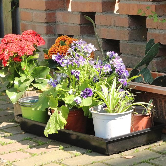Gardzen 10 Pack Seed Trays, Reusable Plant Grow Trays, Ideal for Seed Starting, Microgreens, Indoor Gardening, and Greenhouse Nurseries - No Drain Holes, 20"x10"