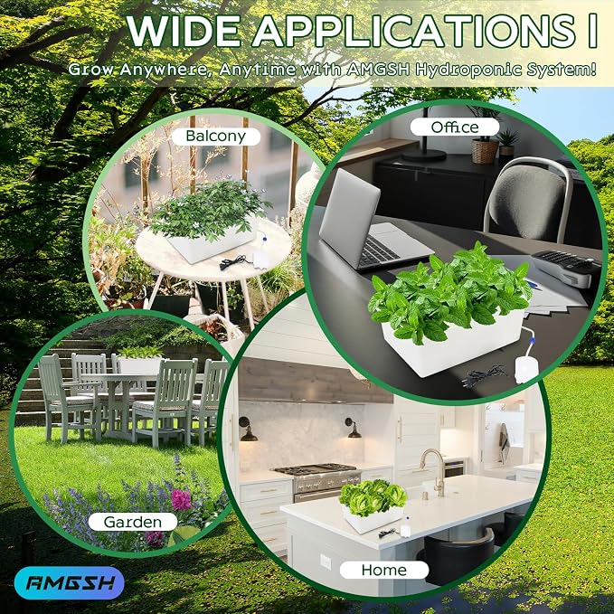 Hydroponics Growing System Kit with Air Pump, Bubble Stone | 12-Hole Indoor Hydroponic System Grow Box, Indoor Gardening System & Hydroponic Kit Vegetable & Herb Garden Starter Kit