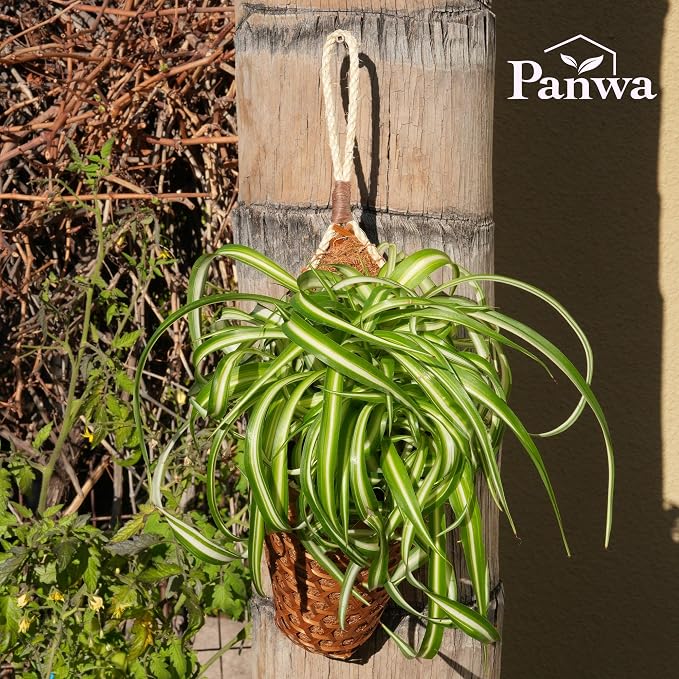 Thai Coconut Fiber Hanging Basket Planter for Indoor Outdoor Patio Summer Decoration, 6 Inch, 2-Pack