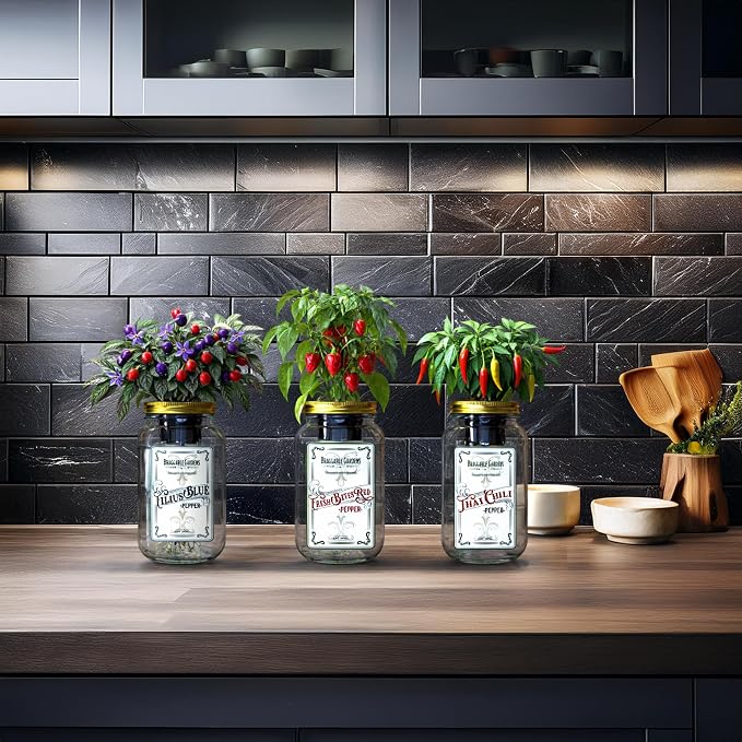 Micro Pepper Mason Jar Garden Kit (3 Pack) – Thai Chili, Filius Blue & Mini Red Bell Pepper – Indoor Hydroponic Pepper Grow Kit – Windowsill Vegetable Garden Starter Kit