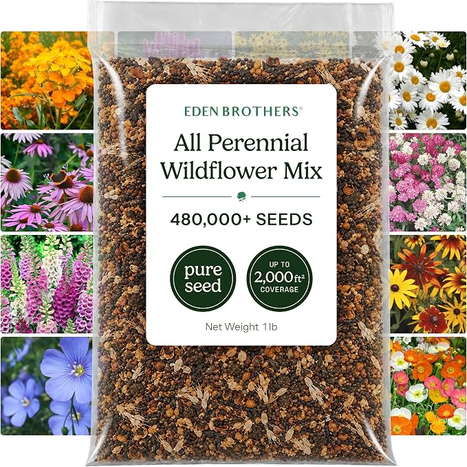 Eden Brothers All Perennial Wildflower Mixed Seeds for Planting, 1 lb, 480,000+ Seeds with Lupine, Shasta Daisy | Attracts Pollinators, Plant in Spring or Fall, Zones 3, 4, 5, 6, 7, 8, 9, 10