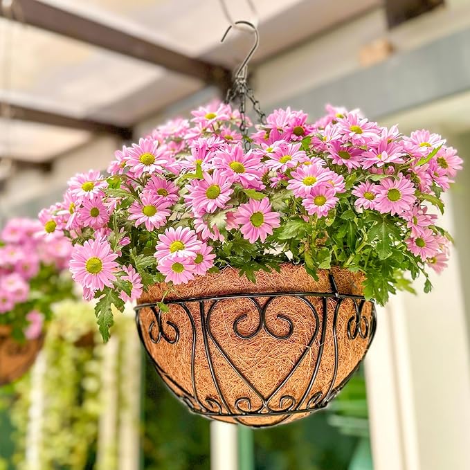 LaLaGreen Hanging Baskets for Plants (12 Inch, 6 Pack) Hanging Flower Pots with Coco Liner, Black Metal Wire Round Basket Plant Holder with Hanger Hook Chain, Outdoor Patio Deck Balcony Garden Decor