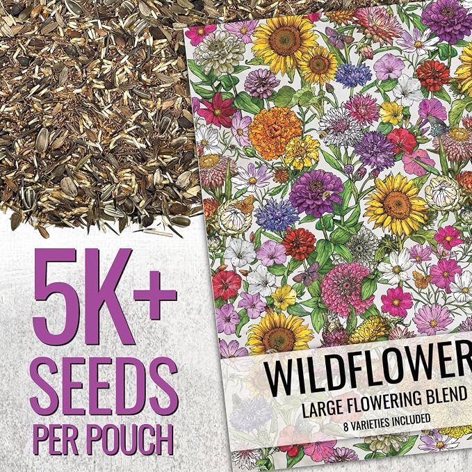 Seed Needs Garden Flower Seeds Large Blooms Mix 1 Ounce Heirloom Bulk Pack