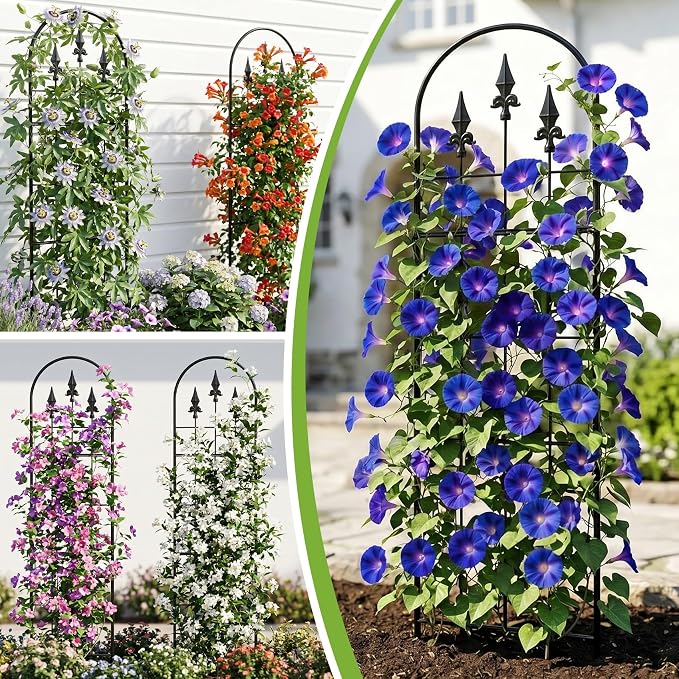 2 Pack 57.8" H x13 W Garden Trellis for Climbing Plants Outdoor, Rustproof Arched Metal Rose Trellis for Outdoor Indoor Roses Clematis Potted Climbing Plants Vines Flowers Decorative, Black