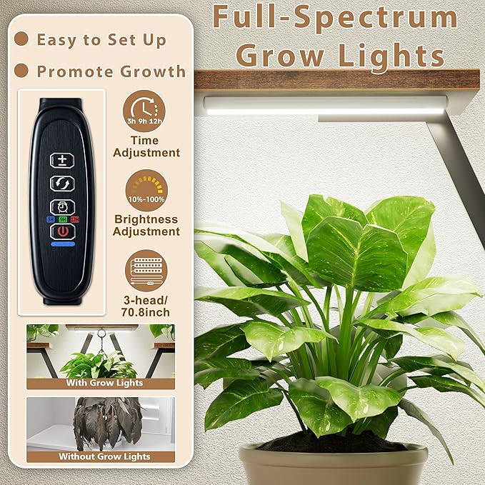 Plant Stand Indoor with Grow Lights - 9 Tiered Tall Plant Shelf, 63" Corner Plant Stands for Indoor Plants Multiple, X-Shaped Metal Flower Holder Large Decorative Rack for Living Room, Home Decor