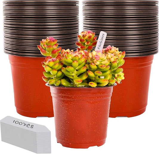 LWWTBS Plant Nursery Pot/Pots 100 Pcs 6" Plastic Small Plants Pots Flower Pots Seed Starting Pots for Plants Indoor Outdoor Seeding pots (with 100 Plant Labels)
