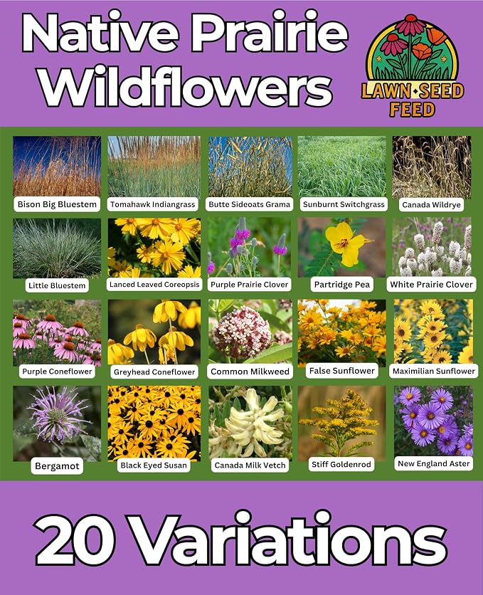 Native Prairie Mix (2oz) Restores Your Landscape with Authentic Prairie Blooms. Tough, Low-Maintenance, and pollinator-Friendly—Plant Once and Enjoy Natural Color All Season!