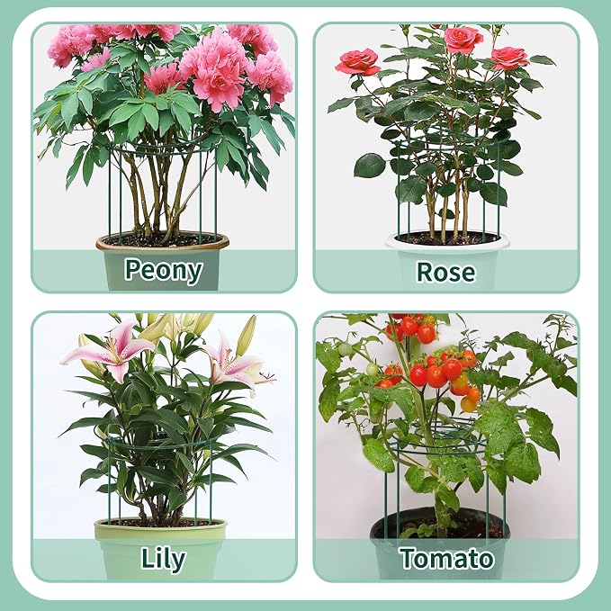 8 Sets Peony Support Cage,14"Diax32"High Heavy Duty Metal Plant Support,Grow Through Hoops Grids with 4 Thickened 5mm Legs,Strong Support Brace for Heavy Blossoms,Flower Support Ring for Peonies,Rose