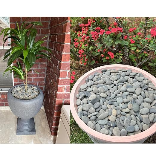 7LB River Rocks Mexican Beach Pebbles for Garden Landscape Plants Paving Grey (1Inch)