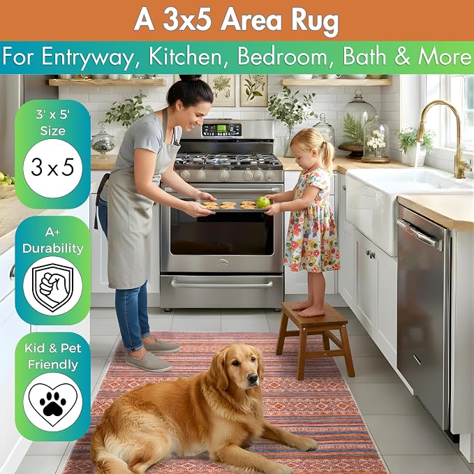 Sacred Artisans Boho 3x5 Area Rug for Entry, Kitchen, Mudroom and Foyer | Washable, Pet Friendly, Durable and Low Pile (Kilim, 3' x 5')