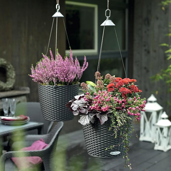 Lechuza Nido Cottage - All-In-One, Granite