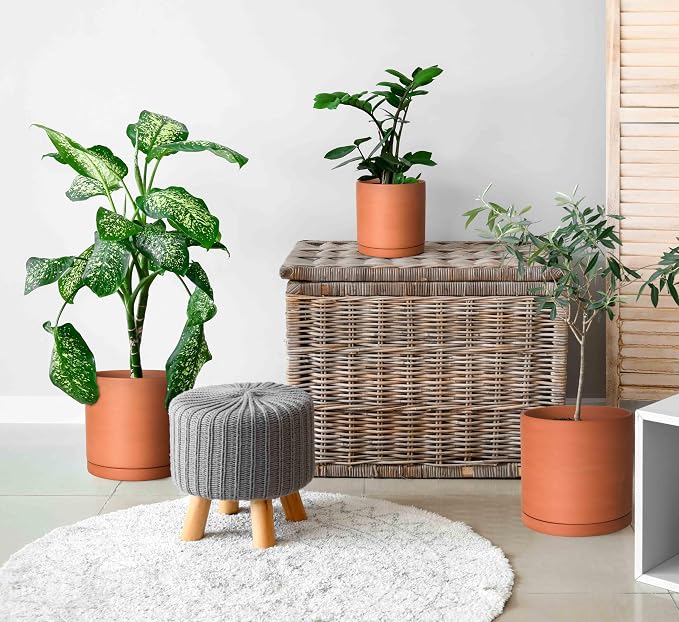 D'vine Dev Terracotta Pots for Plants, 6.5 Inch 8.3 Inch 9.5 Inch, Round Cylinder Planter Pot with Drainage and Saucer, 40-T-C-0