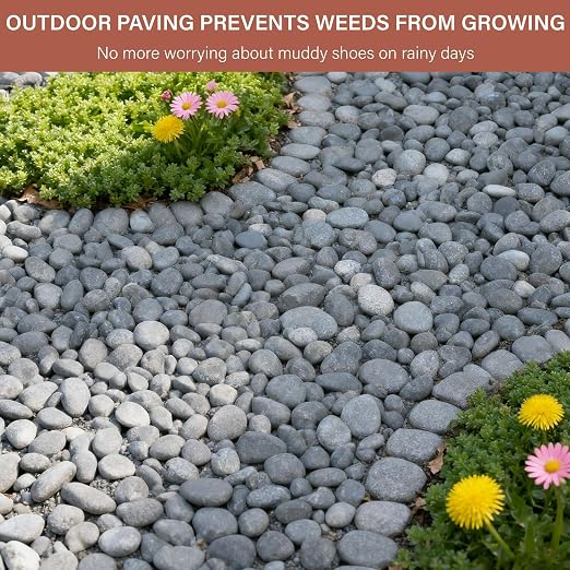 NUPICK 12lb Mexican Beach Pebbles, 2-3" Black River Rocks for Landscaping, Smooth Garden Rocks for Outdoor Paving, Natural Black Pebbles for Plants, Decorative Stones for Planters, Fish Tank,Fountain