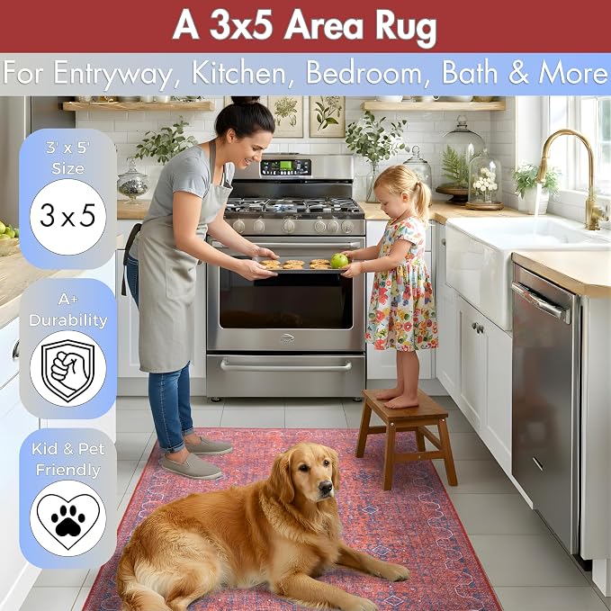 Sacred Artisans Tribal 3x5 Area Rug for Entry, Kitchen, Mudroom and Foyer | Washable, Pet Friendly, Durable and Low Pile (Mystic, 3' x 5')