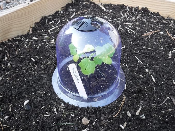 6-Pack! GrowAway Small Reusable Plastic Mini Greenhouse, Garden Cloche Dome, Plant Covers Frost Guard Freeze Protection for Plants Outdoors, Garden Tools, Garden Accessories - 7.87" Diam. x 6.69" H