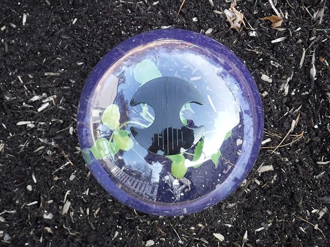 6-Pack! GrowAway Medium Reusable Plastic Mini Greenhouse, Cloche Dome, Plant Covers for Frost Guard Freeze Protection Outdoors, Garden Tools and Accessories - 10.24"Diam. x 7.48"H