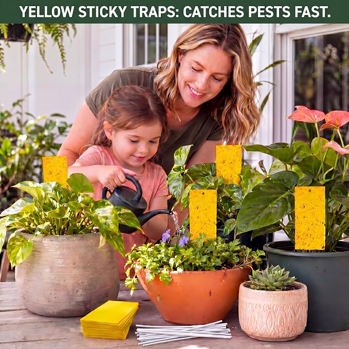 Qualirey 150 Pcs 7.8 x 3.9 Inch Yellow Sticky Traps for Plant Double Sided Sticky Trap for Gnats with Twist Ties Fly Traps for Fruit Insect Fungus Bugs Indoor Outdoor