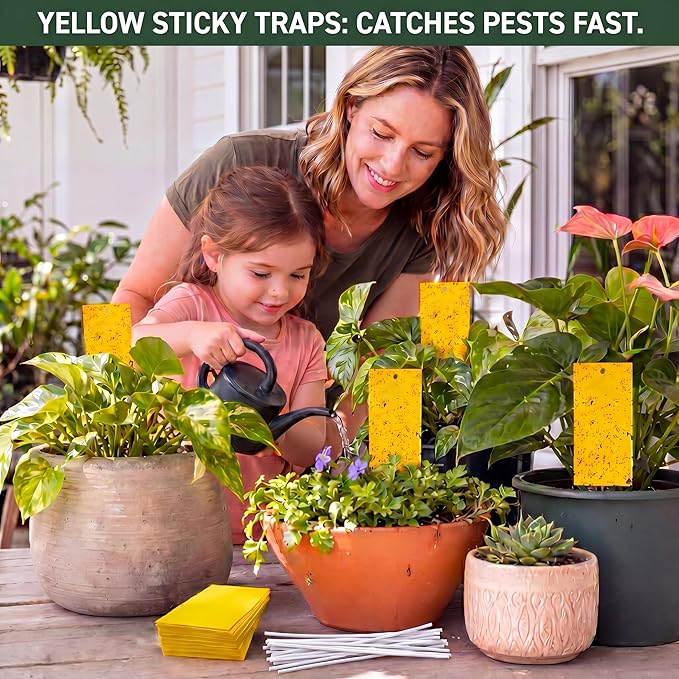 Qualirey 200 Pcs 7.87 x 3.9 Inch Yellow Sticky Traps for Gnats Double Sided Sticky Trap for Plant Whiteflies, Aphids, and Black Flies with Twist Ties, Indoor and Outdoor