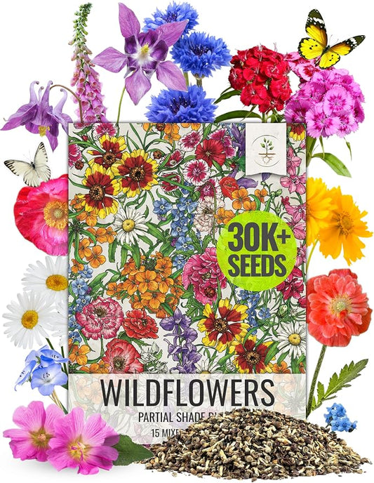 Seed Needs Partial Shade Wildflower Seeds Heirloom 2 Ounce Bulk Pack