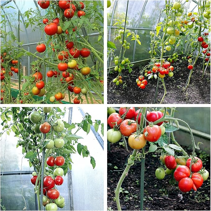 Garden Stakes Sturdy Metal Fence Post 5 Ft Plastic Coated Steel Plant Sticks for Tomatoes,Trees,Cucumber,Fences,Beans,Pack of 50