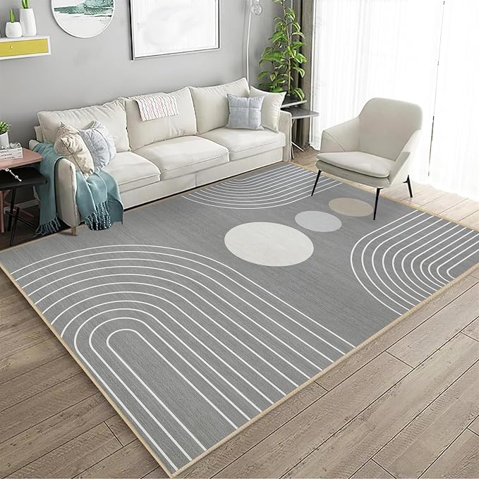 Boho Rug 3x5 Modern Geometric Minimalist Abstract Line Area Rug for Entryway Living Room Grey Mid Century Modern Machine Washable Non-Slip Printed Low-Pile Floor Carpet for Kitchen Bedroom Gray