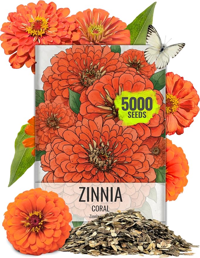 Seed Needs Zinnia Seeds Coral Fast Blooming 5,000 Seeds Bulk Pack