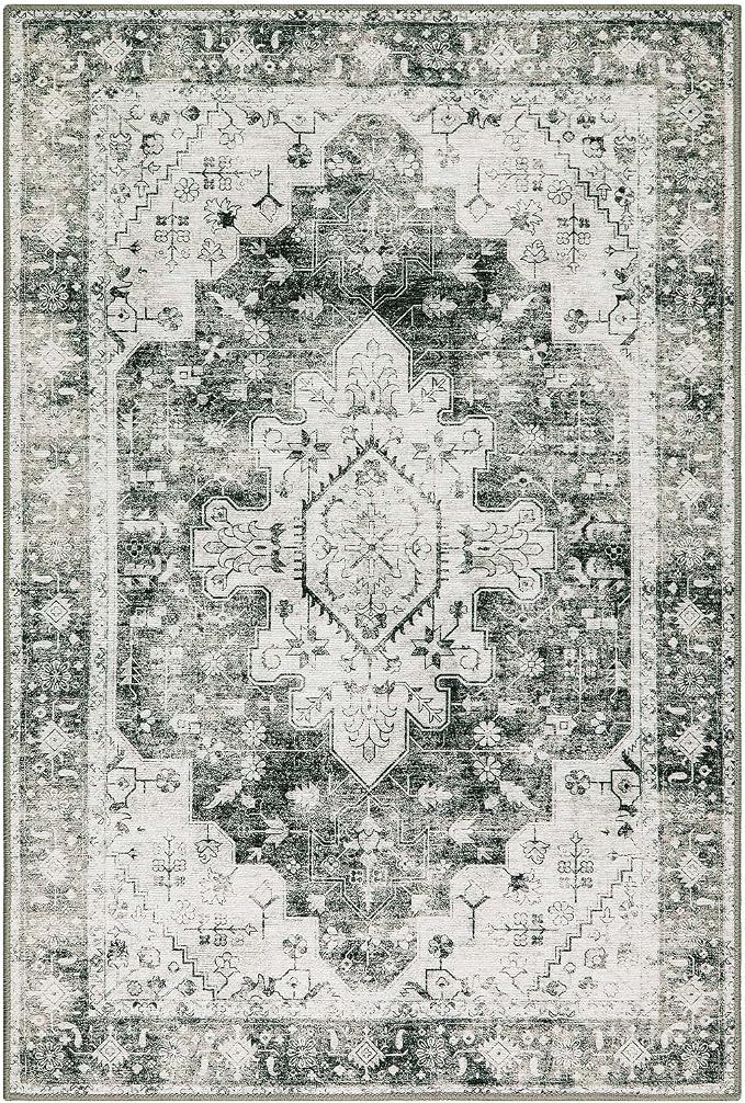 Moynesa Ultra-Thin Washable Area Rug - 2x3 Small Grey Front Door Rug Kitchen Mat, Non Slip Non Shedding Pet Friendly Bathroom Carpet for Office Laundry Powder Room Bedside Hardwood Floor