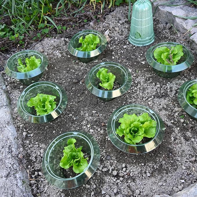 10 Pack Slug Collars for Plants,Medium-Sized Snail Protection Ring, Provides Effective Protection Against Snails for Your Salad Plants and Others Plants.